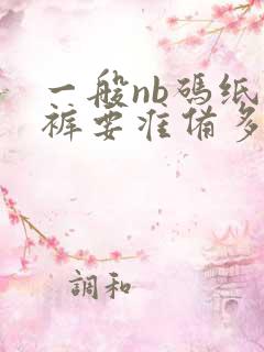 一般nb码纸尿裤要准备多少片呢