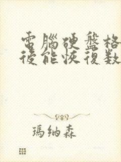 电脑硬盘格式化后能恢复数据吗