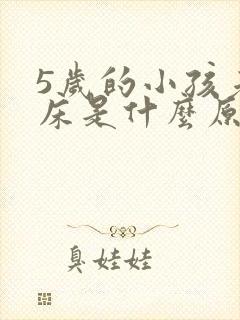 5岁的小孩老尿床是什么原因