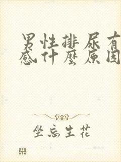 男性排尿有刺痛感什么原因