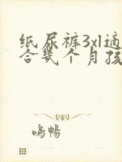 纸尿裤3xl适合几个月孩子