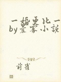 一婚更比一婚高by晨雾小说
