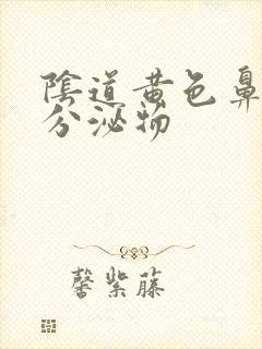 阴道黄色鼻涕状分泌物