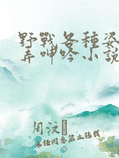 野战各种姿势顶弄呻吟小说