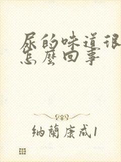 尿的味道很浓是怎么回事