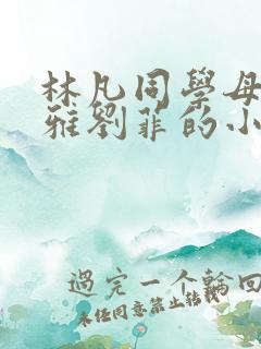 林凡同学母亲赵雅刘菲的小说