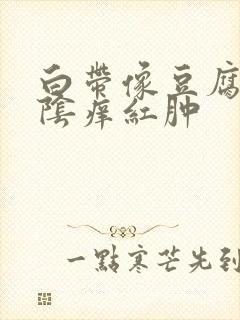 白带像豆腐渣外阴痒红肿