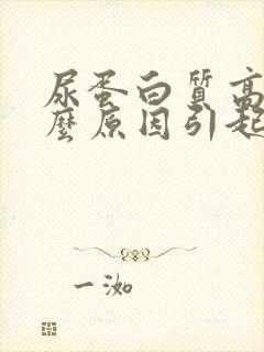 尿蛋白质高是什么原因引起的