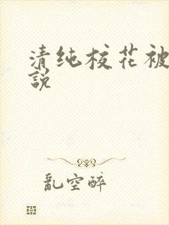 清纯校花被强小说