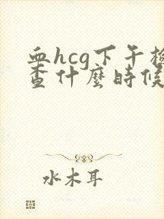 血hcg下午检查什么时候出结果