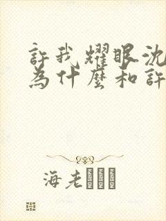 许我耀眼沈皓明为什么和许妍在一起