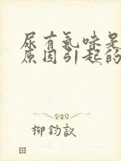 尿有气味是什么原因引起的