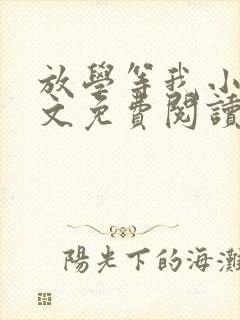 放学等我小说全文免费阅读完整版笔趣阁