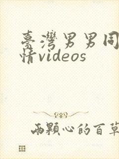 台湾男男同志激情videos