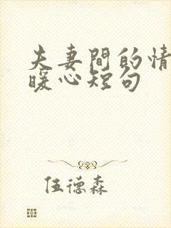 夫妻间的情话最暖心短句