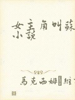 女主角叫苏月的小说