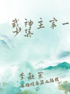 武神主宰一共多少集