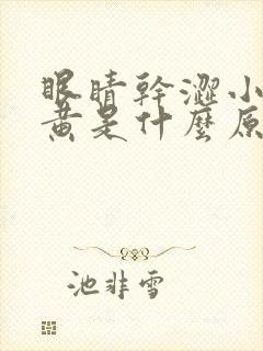 眼睛干涩小便发黄是什么原因