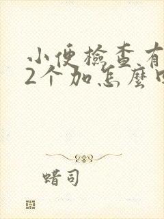 小便检查有隐血2个加怎么回事呢