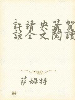 许靖央萧贺夜小说全文阅读最新章节