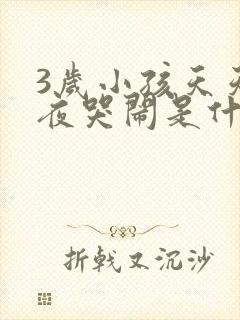 3岁小孩天天半夜哭闹是什么原因