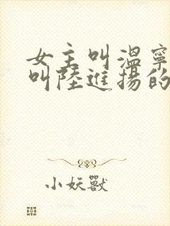 女主叫温宁男主叫陆进扬的小说