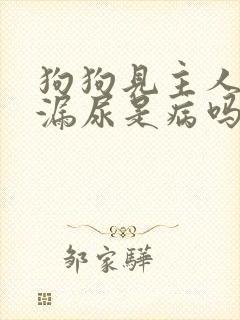 狗狗见主人激动漏尿是病吗