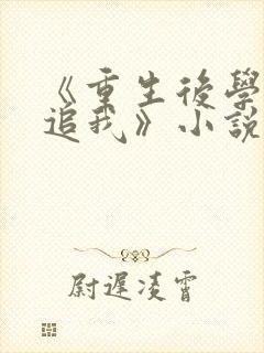 《重生后学霸倒追我》小说