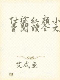 仕途红颜小说免费阅读全文