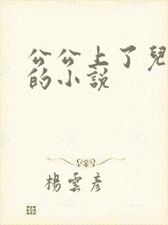 公公上了儿媳妇的小说