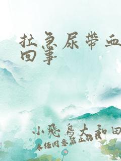 拉急尿带血怎么回事