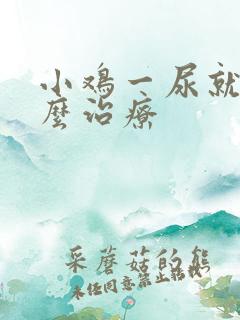 小鸡一尿就疼怎么治疗