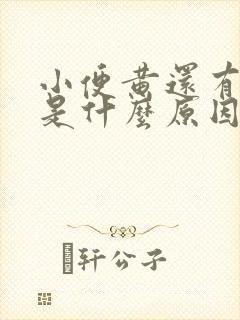 小便黄还有异味是什么原因引起的