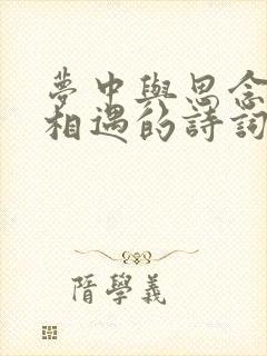 梦中与思念的人相遇的诗词