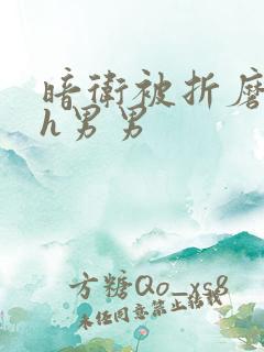 暗卫被折磨调教h男男