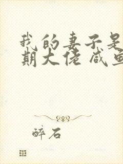 我的妻子是大乘期大佬 咸鱼老白小说