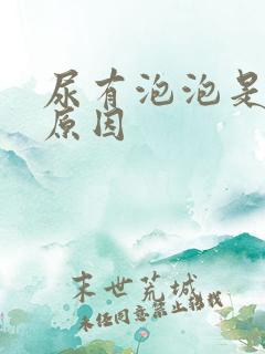 尿有泡泡是什么原因