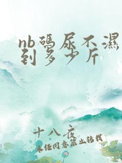 nb码尿不湿穿到多少斤