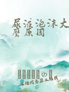 尿液泡沫大是什么原因