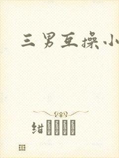 三男互操小说