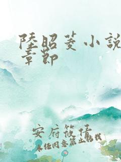 陆昭菱小说最新章节