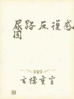 尿路反复感染原因