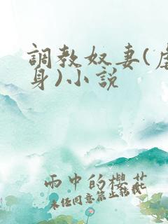 调教奴妻(虐女身)小说