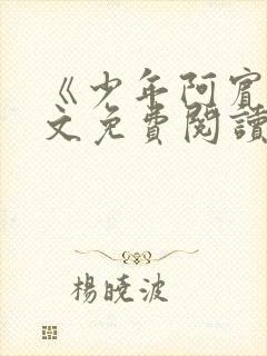 《少年阿宾》全文免费阅读