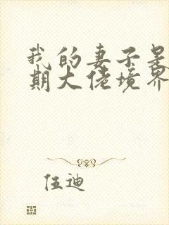 我的妻子是大乘期大佬境界等级