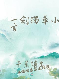 一剑独尊小说叶玄