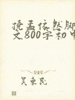 挠孟依然脚心作文800字初中