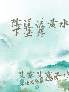 阴道流黄水小腹下坠疼