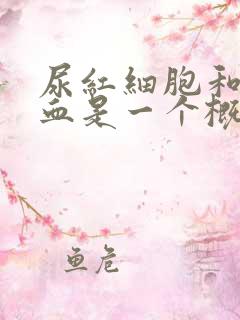 尿红细胞和尿潜血是一个概念吗