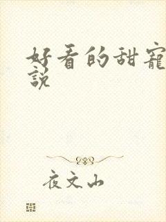 好看的甜宠文小说